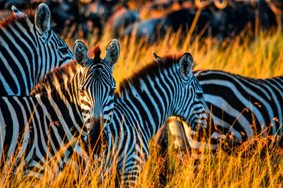 Arusha National Park