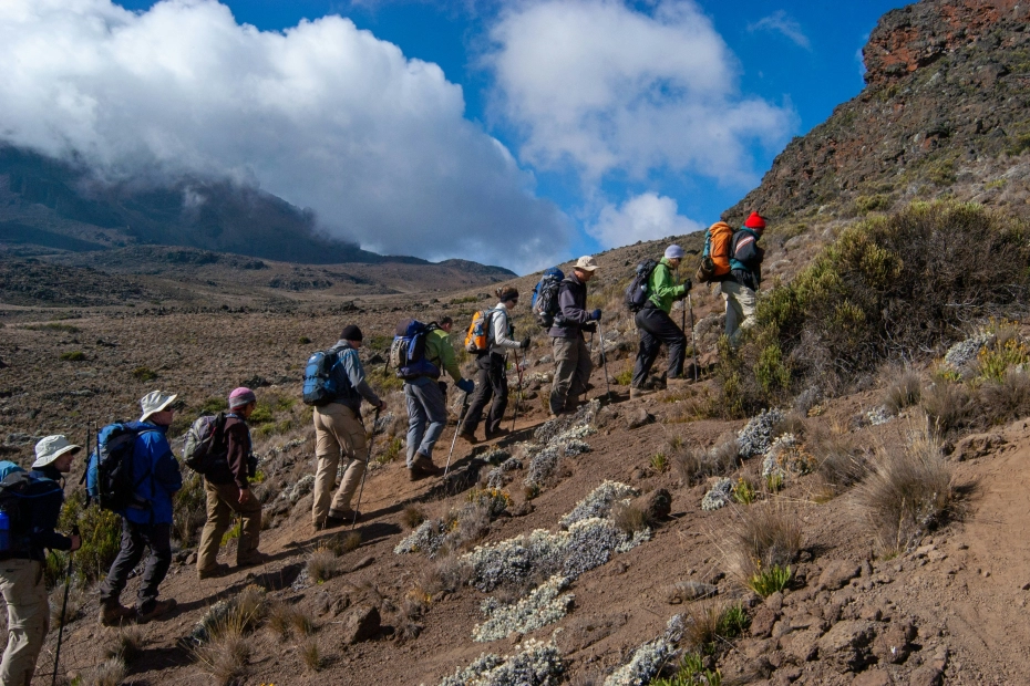 Kilimanjaro National Park